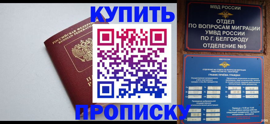 прописка регистрация в Пугачёве